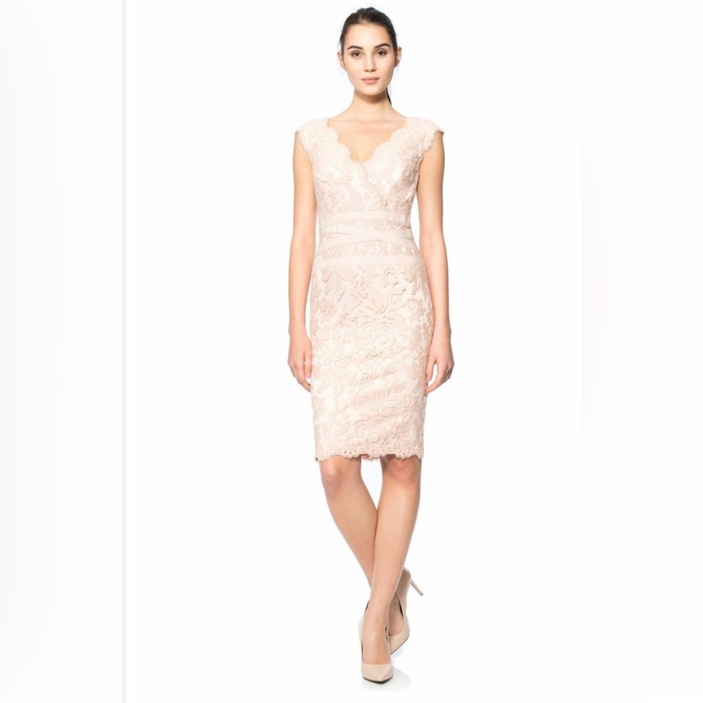 Tadashi Shoji Embroidered Lace Banded Waist‎ Dress in Cream